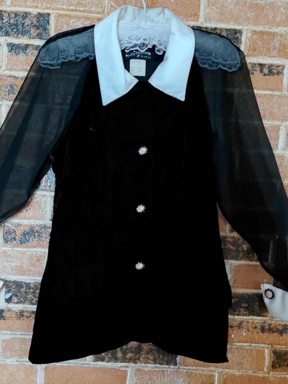 Vintage Molly Malloy Black Velvet Jacket with Sheer Sleeves